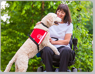Canine Caregivers: The role of dogs in a support system